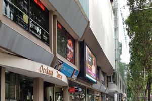 Woodlands stall rental