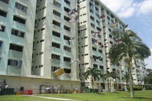 Indian S PASS STALL RENTAL