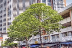 Whole coffeeshop $28,000 rental 