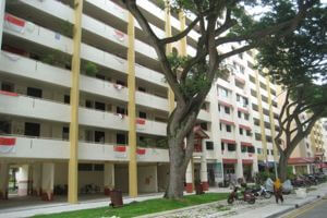 ✅The rent includes: collecting dishes, exterminating insects, cleaning the exhaust system ❌Encluding: gas, water and electricity bills We can sell mixed vegetable rice, stuffed tofu, and Indian food.