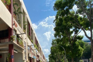 Suitable for: Hokkien mee, Fried Kway Teow, Japanese, Malay food, Claypot delights, Yong Tau Fu etc